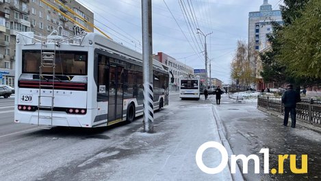 В Омске из-за обрыва контактной сети встали троллейбусы на проспекте Маркса