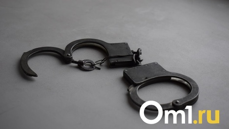 Омский строитель Петренко приговорён к 5 годам тюрьмы за мошенничество