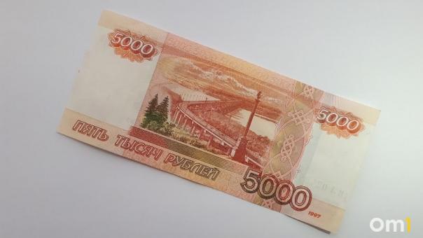 По 5 тысяч рублей могут получить российские семьи с детьми