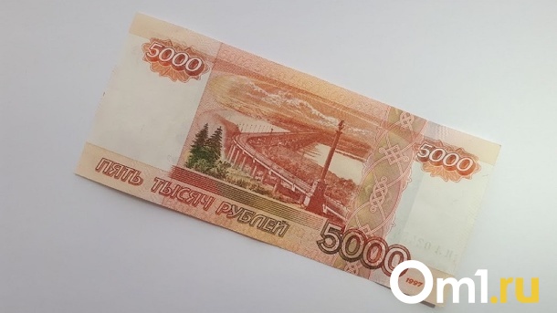 По 5 тысяч рублей могут получить российские семьи с детьми