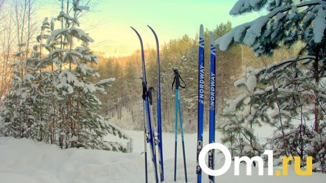 Новосибирская спортшкола закупит 61,6 тысячи патронов