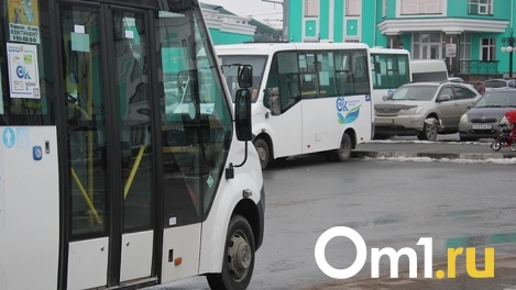 За день после обращения к губернатору возобновился маршрут из Омска в Звонарев Кут