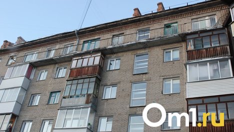 Держали на балконе до самой смерти: в Омске опубликованы подробности заражения домашнего кота бешенством