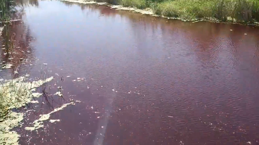 Вода в омской реке окрасилась в красный цвет