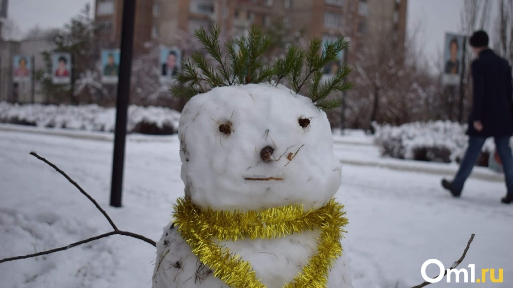 Синоптики сообщили, когда Омскую область накроет снегом