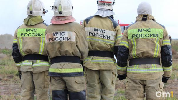 Ландшафтный пожар затронул Кирзинский заказник в Новосибирской области