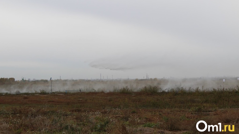 Из-за густых туманов могут частично закрыть трассу Тюмень – Омск