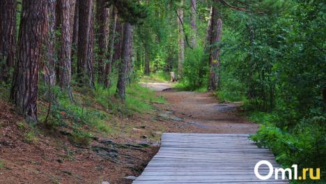 Площадь омских парков всего за год выросла в восемь раз