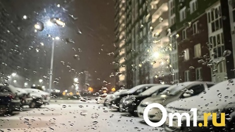 Запахло весной. Февраль принесёт в Омск мощное потепление