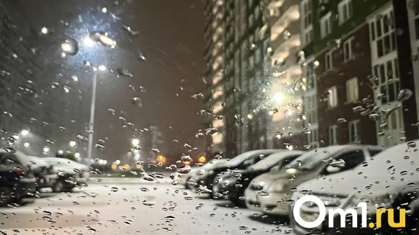 Запахло весной. Февраль принесёт в Омск мощное потепление