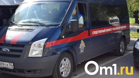 Бастрыкин приказал проверить роль органов опеки в истории с убийством двухлетнего омича