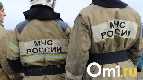 В Омской области загорелся жилой дом с двумя детьми внутри