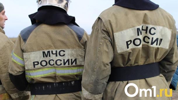 В Омской области загорелся жилой дом с двумя детьми внутри