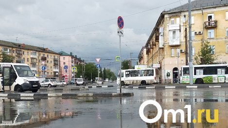 После адской жары в Омске ждут крупный град и тропический ливень