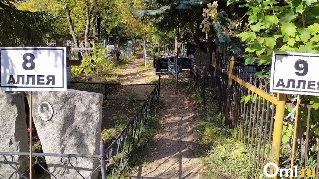 Омское кладбище разграбил неизвестный