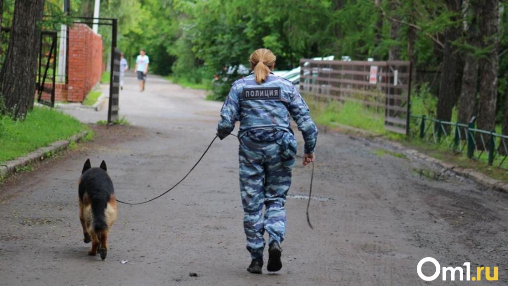 Полиция раскрыла новые подробности о поисках пропавшей школьницы в Омске