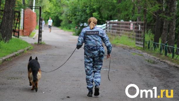 Полиция раскрыла новые подробности о поисках пропавшей школьницы в Омске