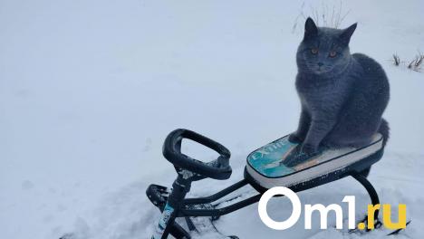 Мэрия предупредила омичей об опасных холодах