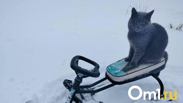 Мэрия предупредила омичей об опасных холодах