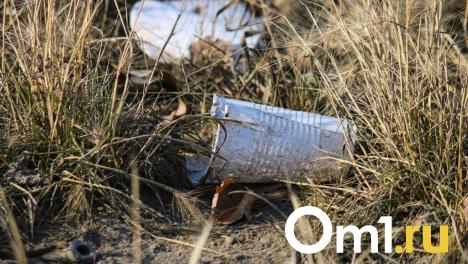 В Омске пройдёт общегородской субботник: жителей приглашают на уборку города