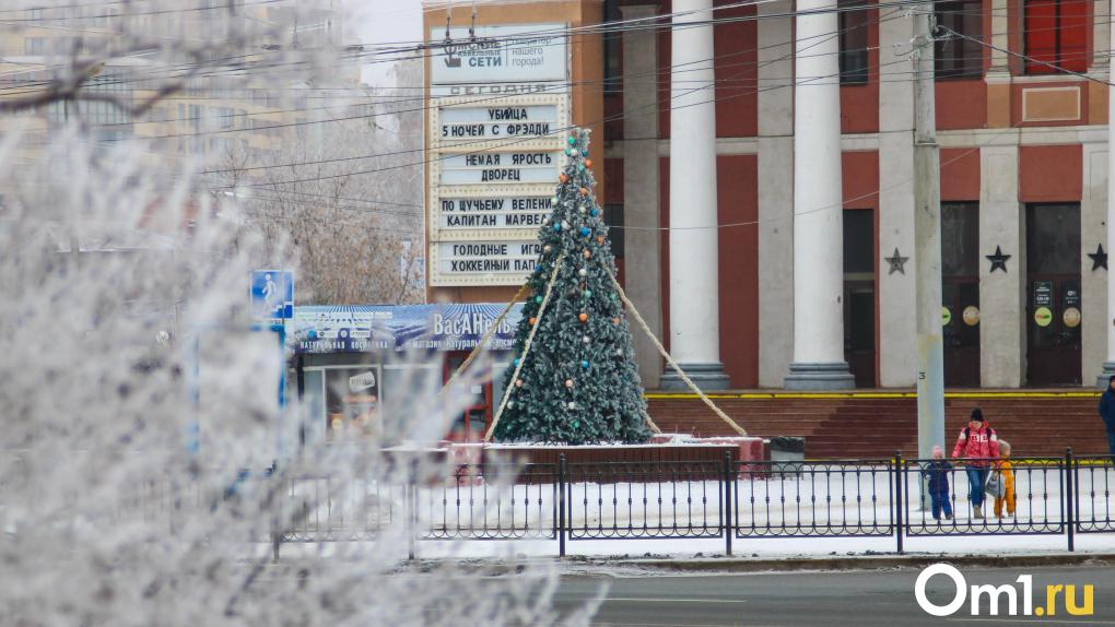 Температура в Омске упала до -30: сколько продлятся морозы?