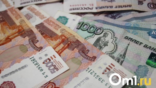 Депутаты Новосибирской области согласовали перечень концессионных объектов