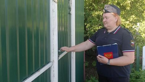 Волк и заяц из «Ну, погоди!» стоили бизнесвумен 27 300 рублей под Новосибирском