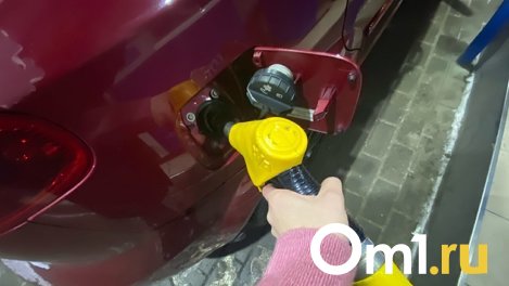 Сколько будет стоить бензин осенью, выяснили новосибирские эксперты