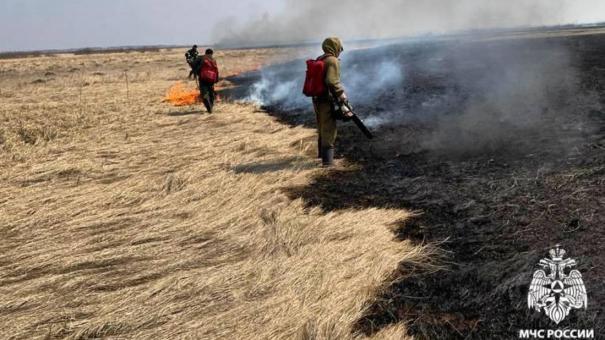 Огонь подступает: Новосибирская область задыхается от пожаров