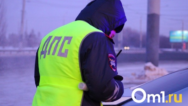 Заблокировали дорогу полностью: под Омском крупная авария большегрузов