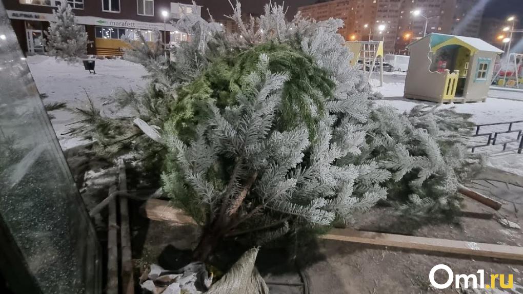 Омичам рассказали, куда можно выбросить новогодние ели