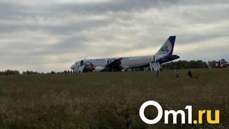 На содержание самолёта Сочи – Омск, севшего в пшеничном поле, ушло свыше 10 миллионов