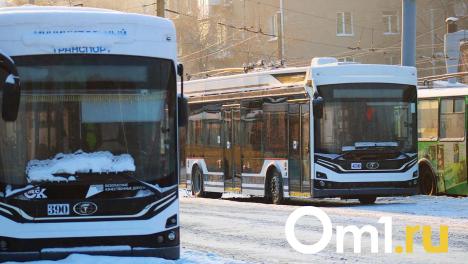 Прокуратура в Омске проверила сообщения о задержках зарплат водителей троллейбусов
