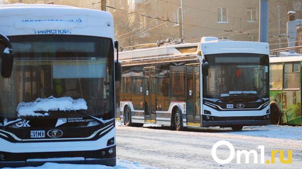 Прокуратура в Омске проверила сообщения о задержках зарплат водителей троллейбусов