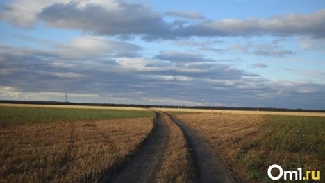 С детьми и на 36-градусной жаре: ещё один автобус Бишкек - Омск застрял в казахской степи из-за поломки