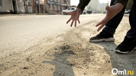 Почти 4 тысячи человек подписали петицию против пыли в Новосибирске