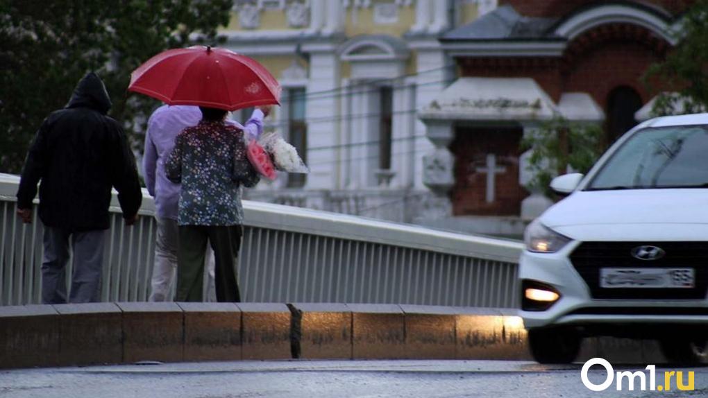 Туман и грозы: омичам рассказали о погоде в начале следующей недели