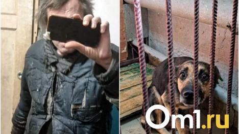 Живодёр или спасатель? Омичи ополчились на соседа, устроившего в квартире собачий приют