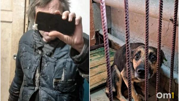 Живодёр или спасатель? Омичи ополчились на соседа, устроившего в квартире собачий приют