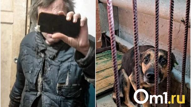 Живодёр или спасатель? Омичи ополчились на соседа, устроившего в квартире собачий приют