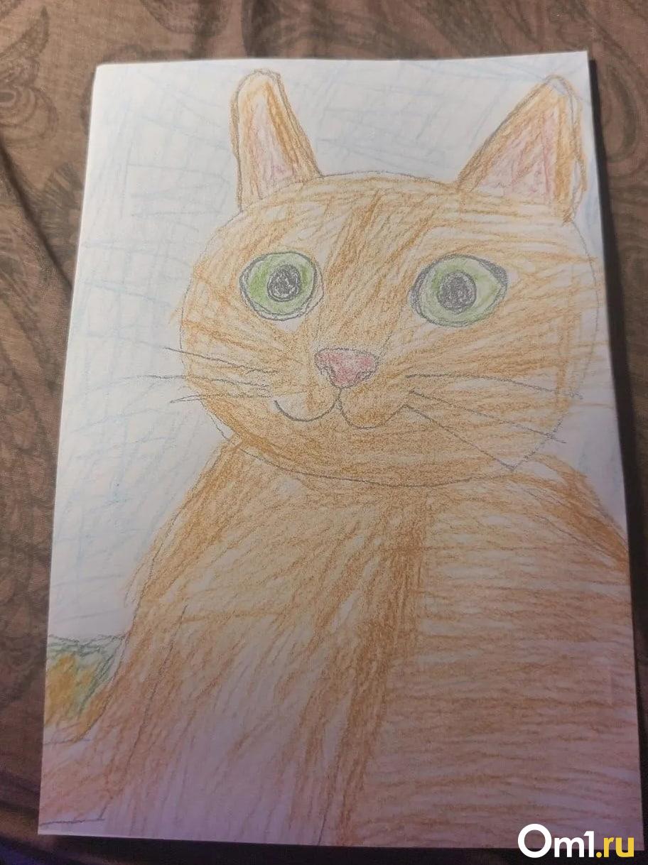 Дети рисуют питомцев за деньги в интернете: милый бизнес или спекуляция? Мы заказали рисунок кота — результат удивил