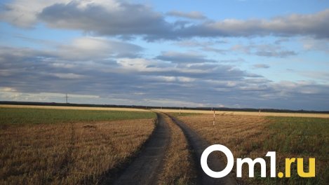 «Сидим по очереди»: автобус с омичами застрял в степи Казахстана на 12 часов