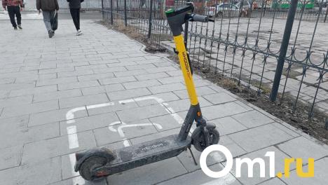 Омичей, которые выбросили самокаты в реку, могут наказать штрафом