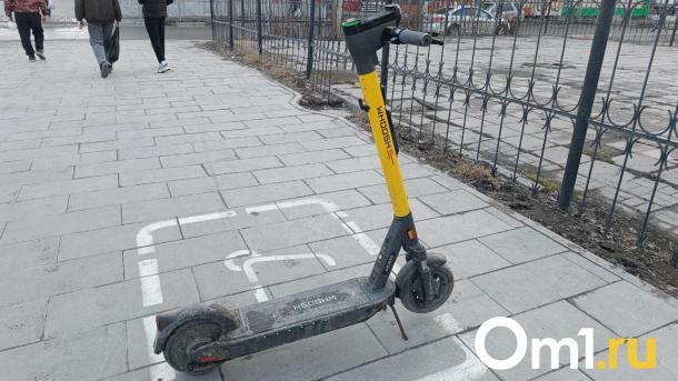 Омичей, которые выбросили самокаты в реку, могут наказать штрафом