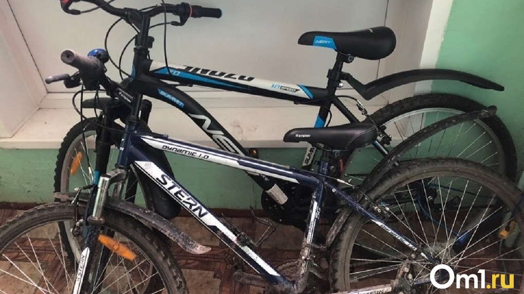 У омича в Саранске похитили велосипед, который он украл в новогоднюю ночь