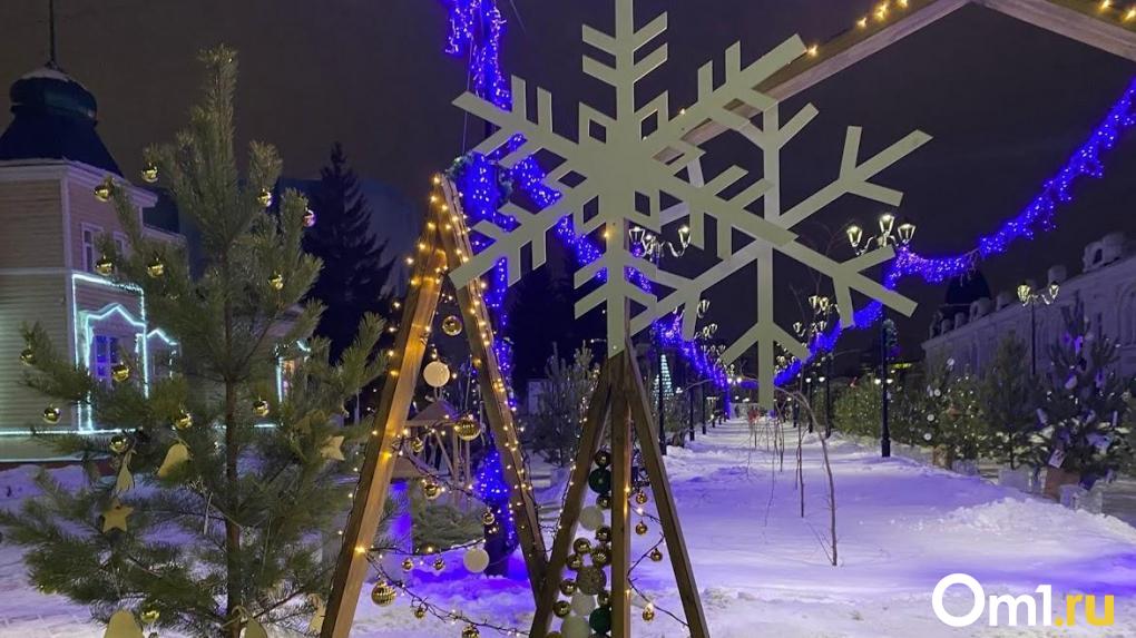 Снегопад и гололёд: рабочая неделя в Омске начнётся с потепления