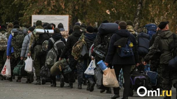 Омский депутат Госдумы прокомментировал новости про отсрочку для многодетных