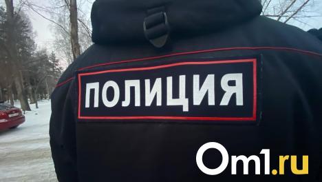 В Казахстане задержали новосибирца, подозреваемого в убийстве женщины и ребёнка