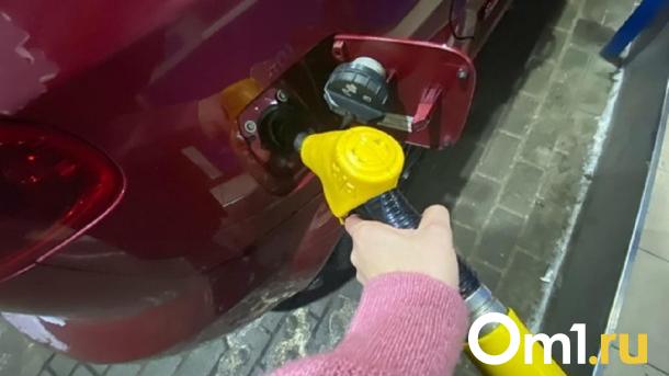 За месяц газ на омских заправках подорожал на 2,5 рубля