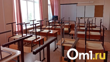 Мэрию Новосибирска обязали решить проблему с забастовкой в гимназии №10